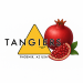 Тютюн для кальяна Tangiers Noir Pomegranate 100 гр